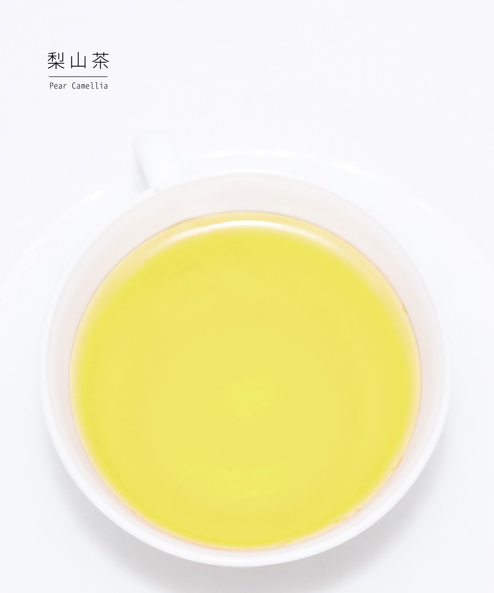 梨山茶茶湯