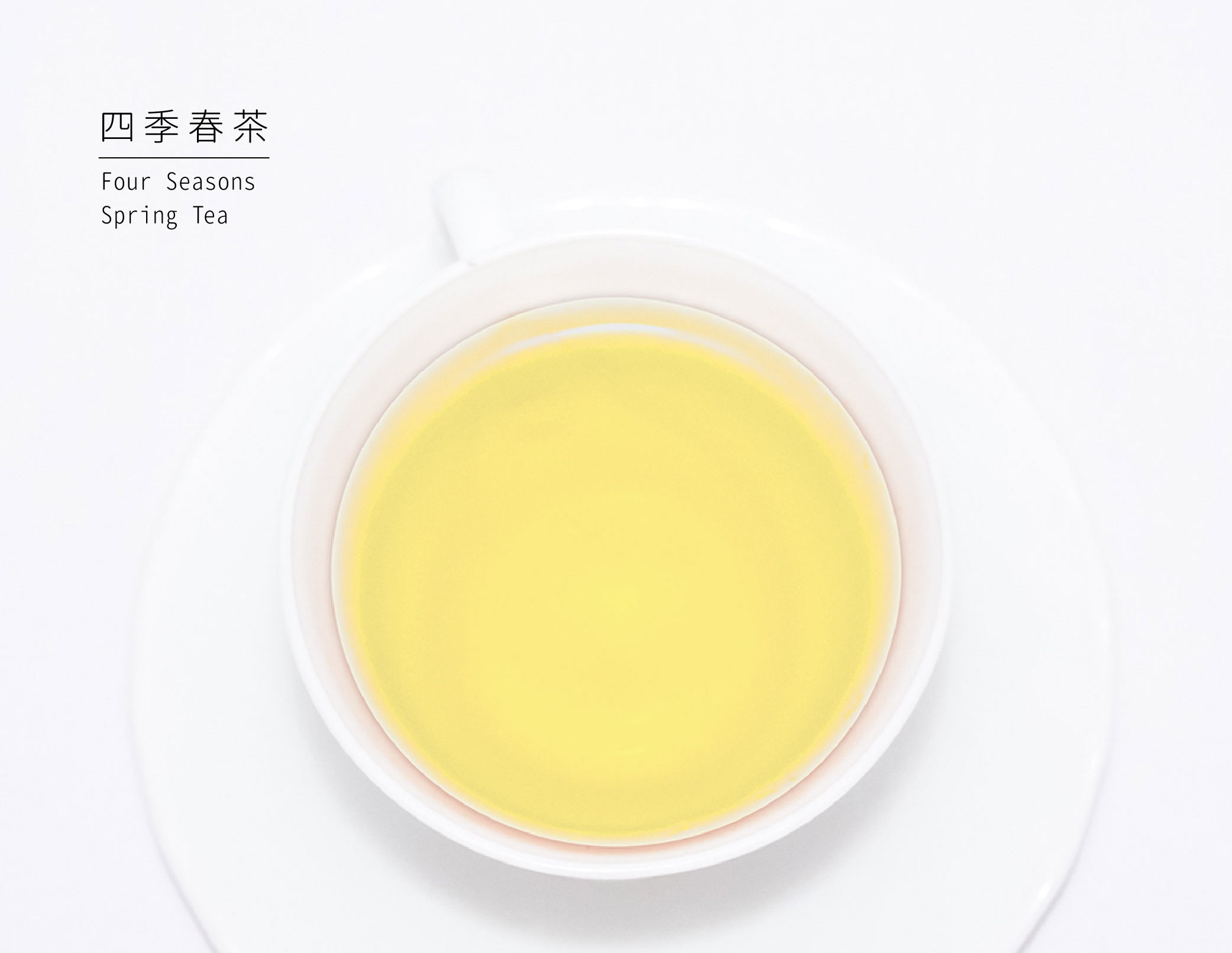 四季春茶茶湯