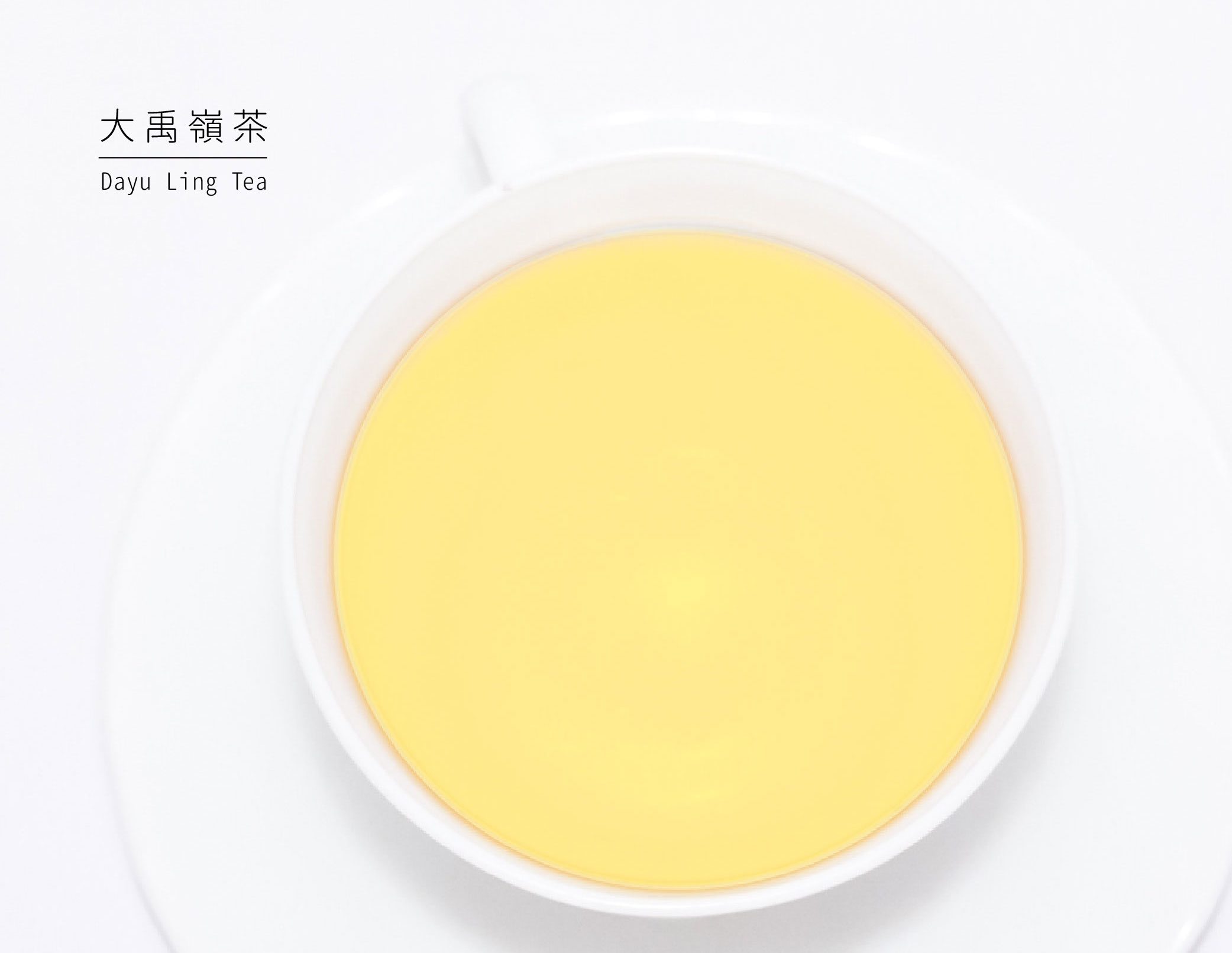 大禹嶺茶茶湯