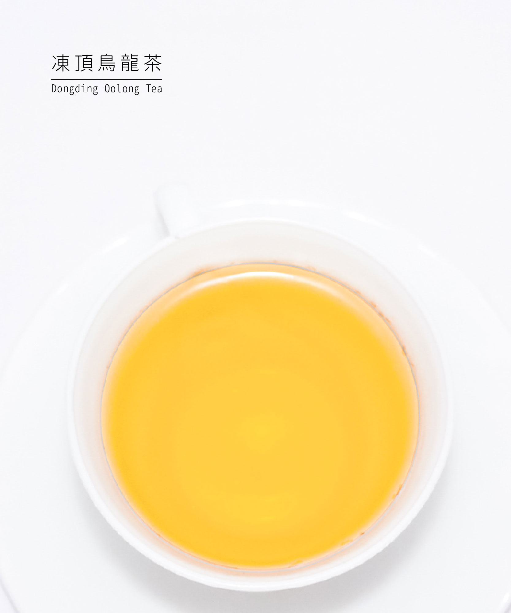 凍頂烏龍茶茶湯
